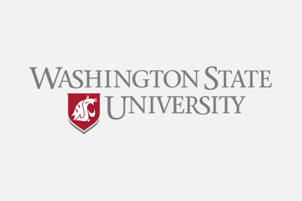 Washington State Logo - INTO University Partnerships State University