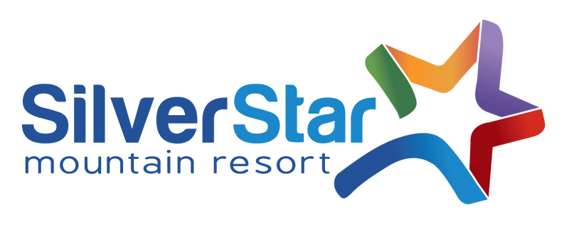 Stars and Mountain Logo - Night Skiing
