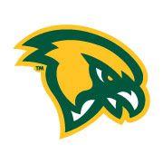 Green and Yellow Sports Logo - Visual Identity and Social Media Guidelines. Fitchburg State University