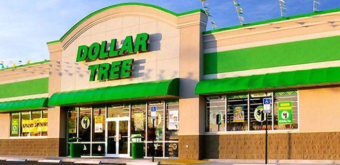 Dollar Tree Store Logo - Why Dollar Tree, Inc. Stock Plunged Today -- The Motley Fool