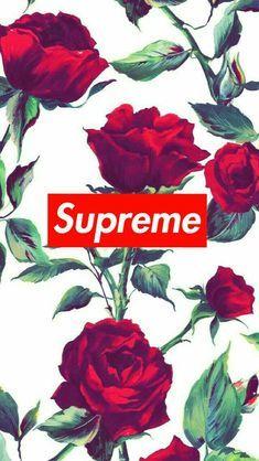 Supreme Rose Logo - 214 Best ✧ supreme logo ✧ images in 2019 | Backgrounds, Branding ...