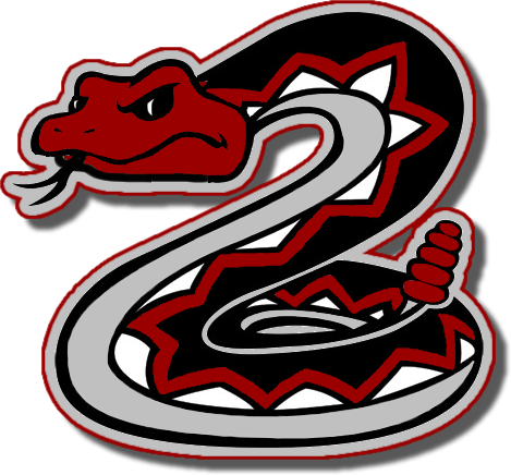 Diamondbacks Snake Logo - Desert Oasis High School
