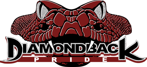 Diamondbacks Snake Logo - Reef Sunset Middle School / Overview