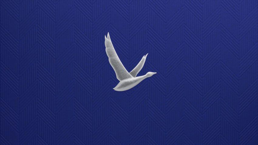 Grey Goose Logo - Grey Goose - Global brand strategy, identity and activation - Ragged ...