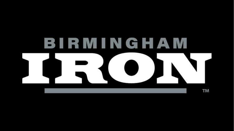 Iron Logo - Magic City's AAF team will be the Birmingham Iron