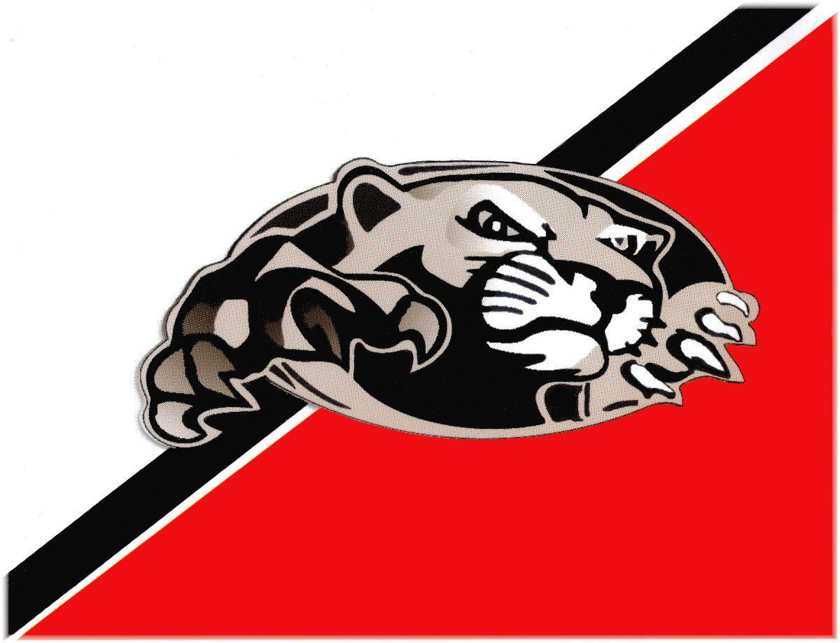 Red Panther Logo - Scott Ross - Manchester High School