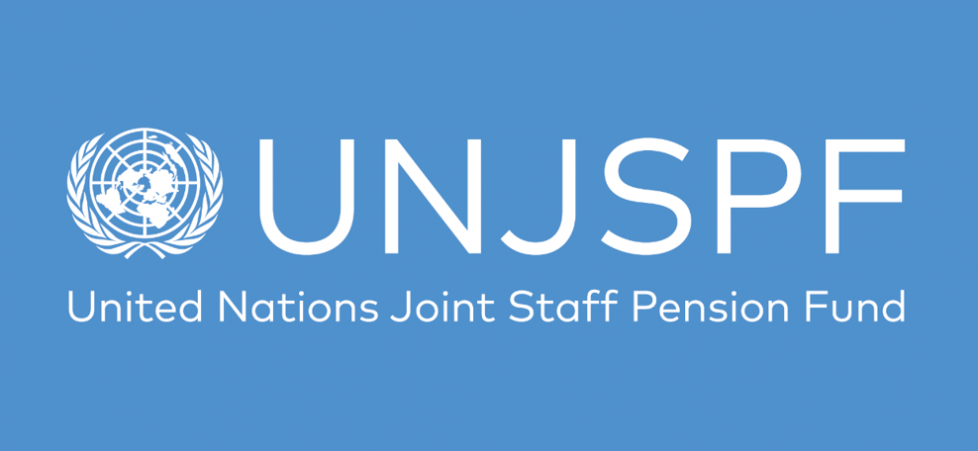 The Joint Staff Logo - Reference NON-GOVERNMENTAL ORGANIZATION – NGO United Nations Joint ...