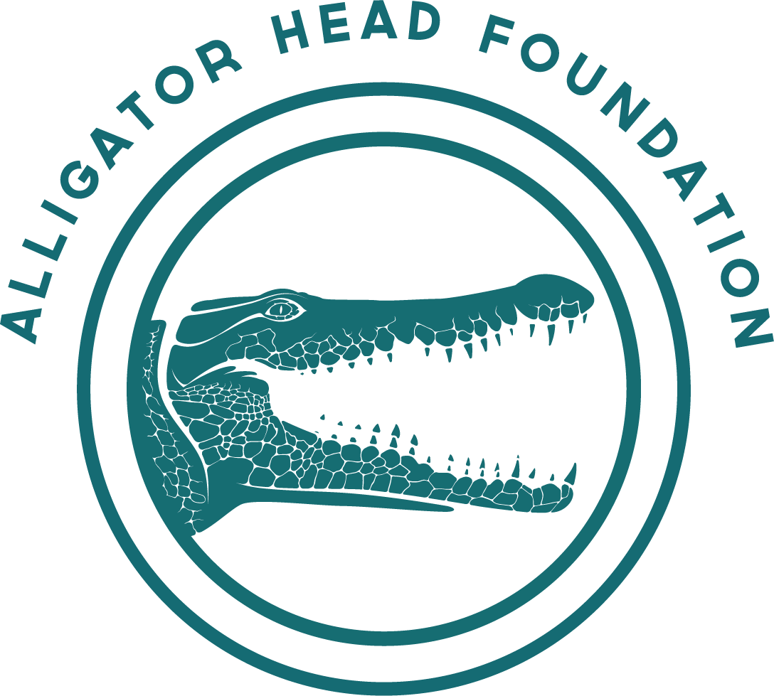 Alligator Head Logo - Alligator Head Foundation. We work for fish filled seas, abundant