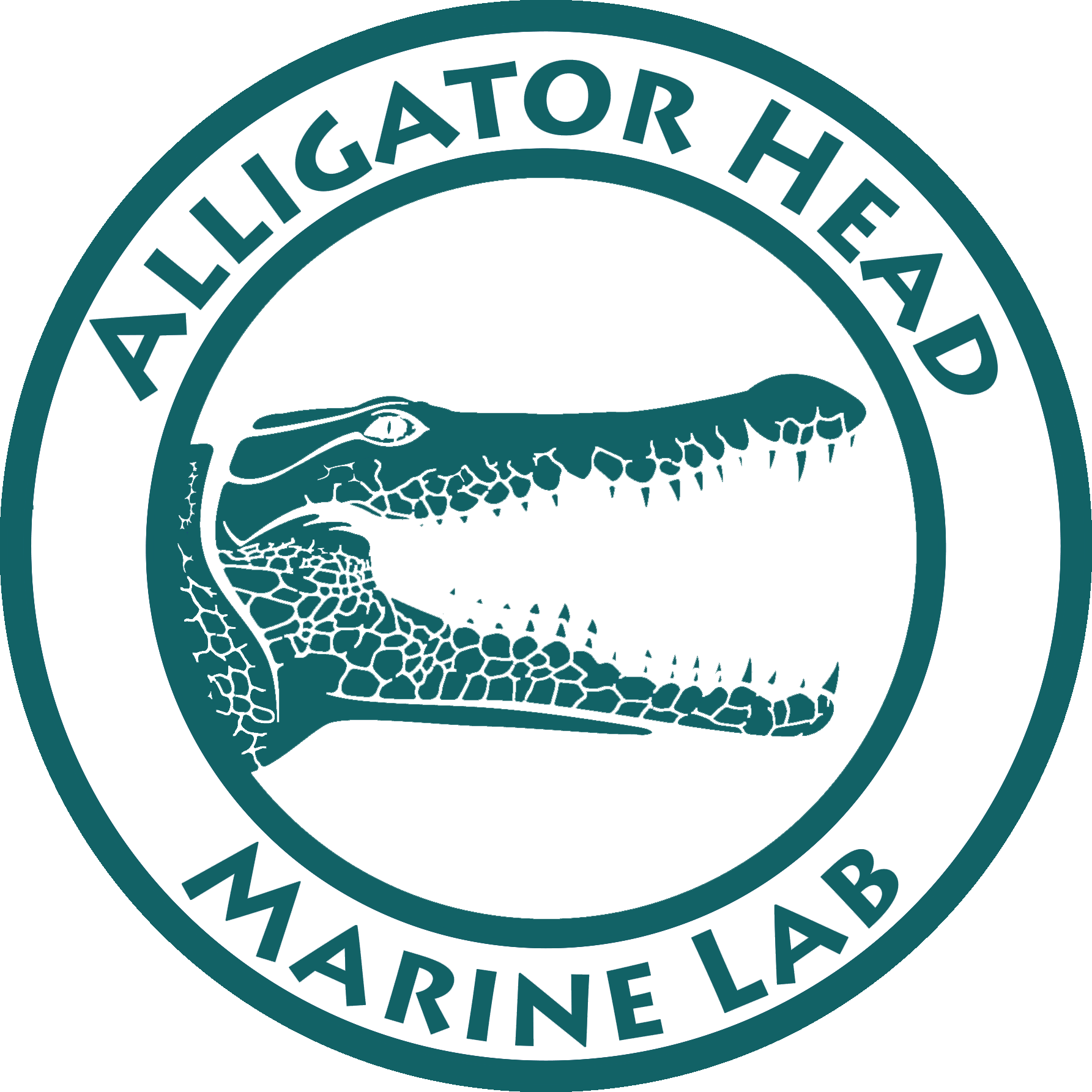 Alligator Head Logo - Overview Head FoundationAlligator Head Foundation