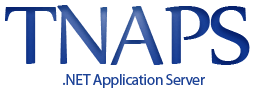 Application Server Logo - TNAPS Application Server