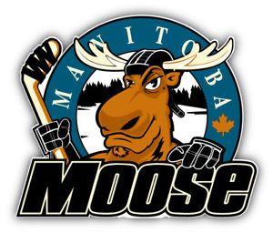 Moose Hockey Logo - Manitoba Moose Hockey Logo Car Bumper Sticker Decal - 3'', 5'' or 6 ...