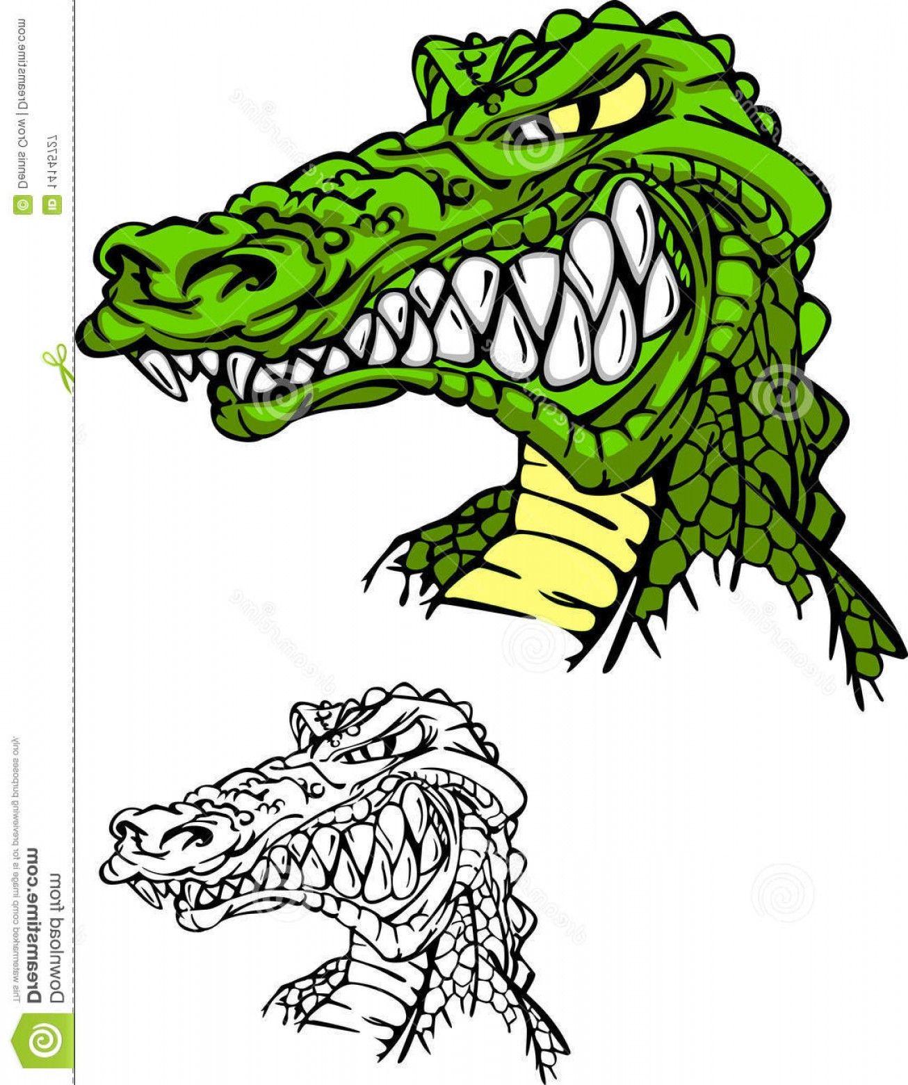 Alligator Head Logo - Royalty Free graphy Alligator Gator Head Logo Image