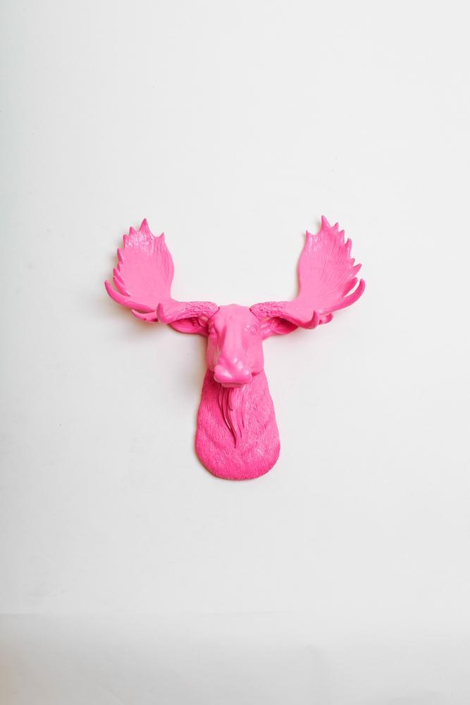 Pink Moose Logo - 13.5