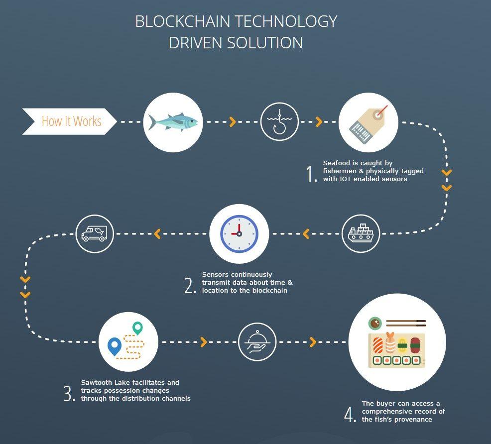 SAP Blockchain Logo - How the Blockchain's Potential is Being Demonstrated by SAP ...