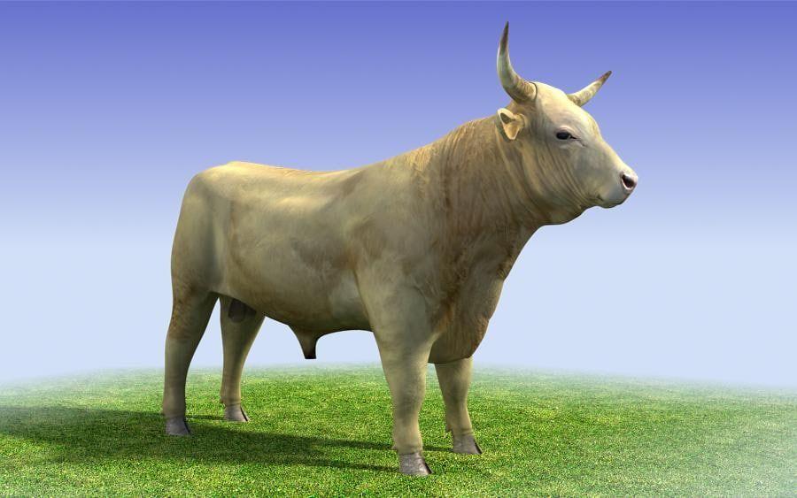 Blue and White Bull Logo - white bull 3d model