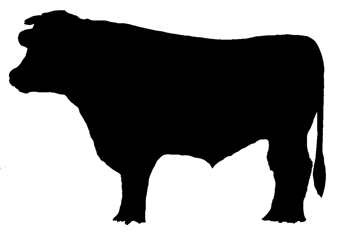 Blue and White Bull Logo - Food Menu