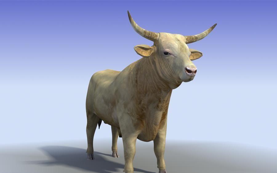 Blue and White Bull Logo - White Bull Low Poly 3D Model. 3D Model $30 - .max .obj .fbx .3Ds