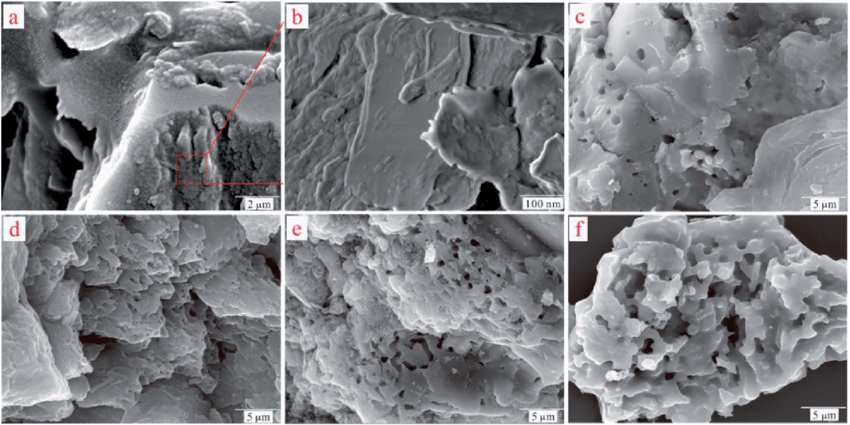 Red Square White F Logo - a) SEM images of ST. (b) Magnified view of the red square region in ...