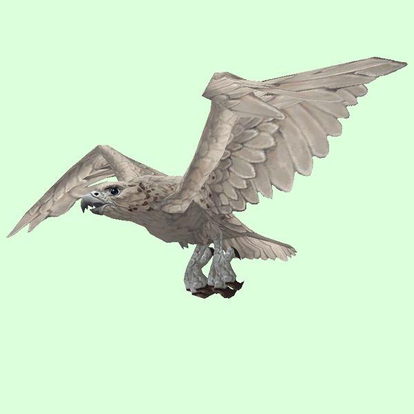 White Falcon Bird Logo - Petopia: White Falcon