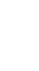 Black and White Ravens Logo - The Ravens of Unresting Thought.