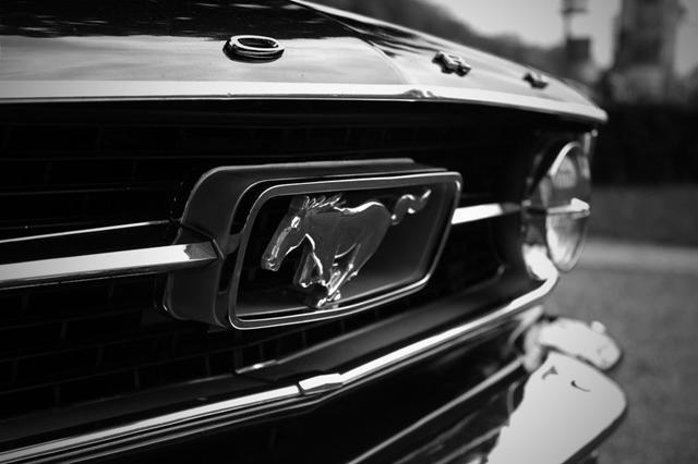 Vintage Ford Mustang Logo - Ford Mustang Classic Car Hire - Sydney - Australia