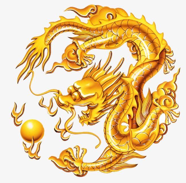 Cool Gold Dragon Logo - Golden Dragon Pattern, Golden, Dragon, Cool PNG and PSD File