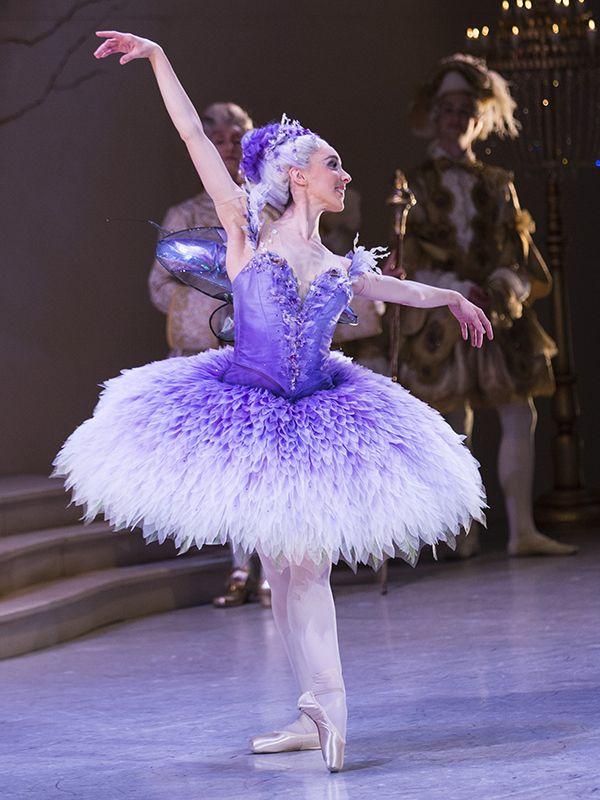 Lilac Fairy Logo - Meet the Fairies. The Australian Ballet
