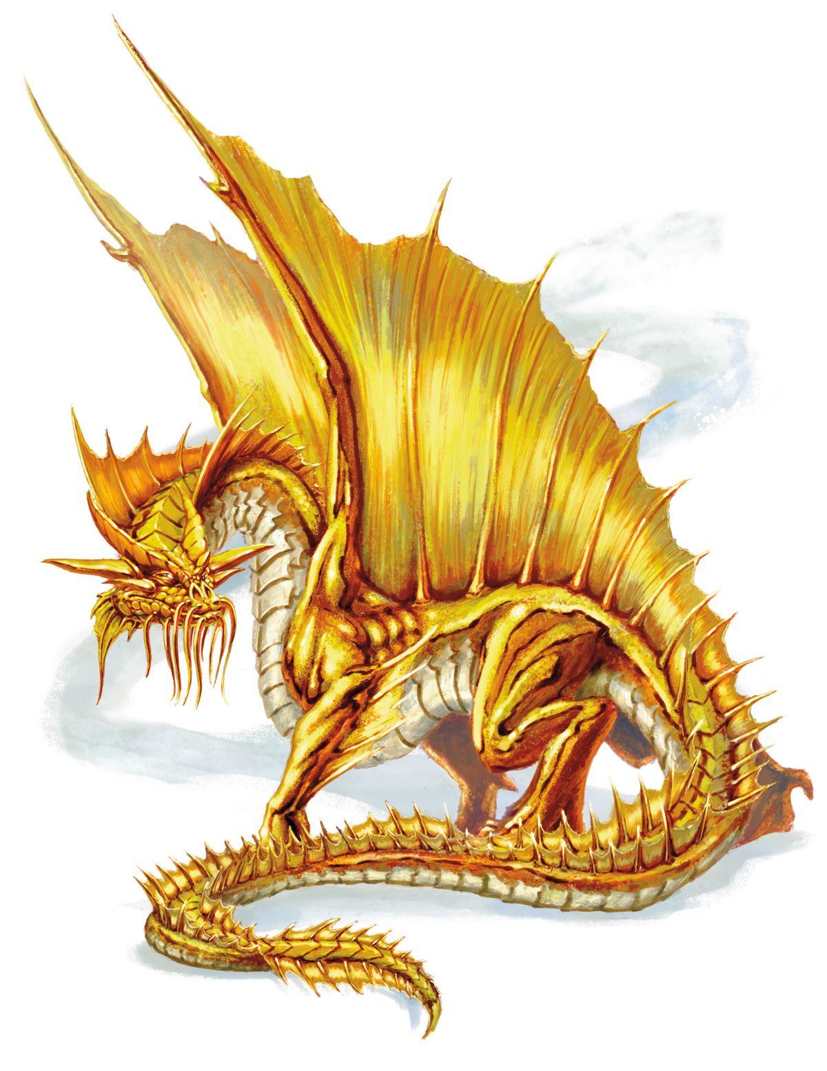 Cool Gold Dragon Logo - Gold dragon | Forgotten Realms Wiki | FANDOM powered by Wikia