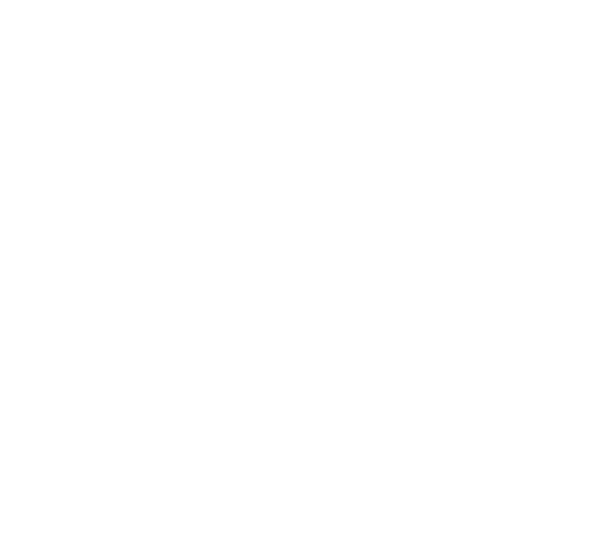 Gray and White Globe Logo - TICA Marketing