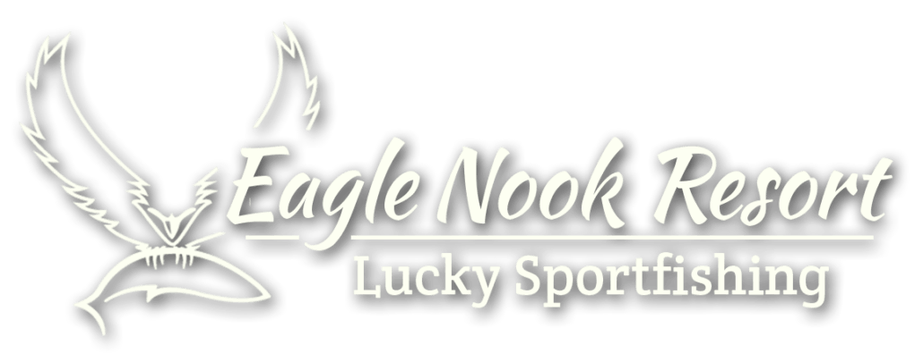 Fishing Eagle Logo - Luxury Fishing & Wilderness Retreat - Eagle Nook Resort
