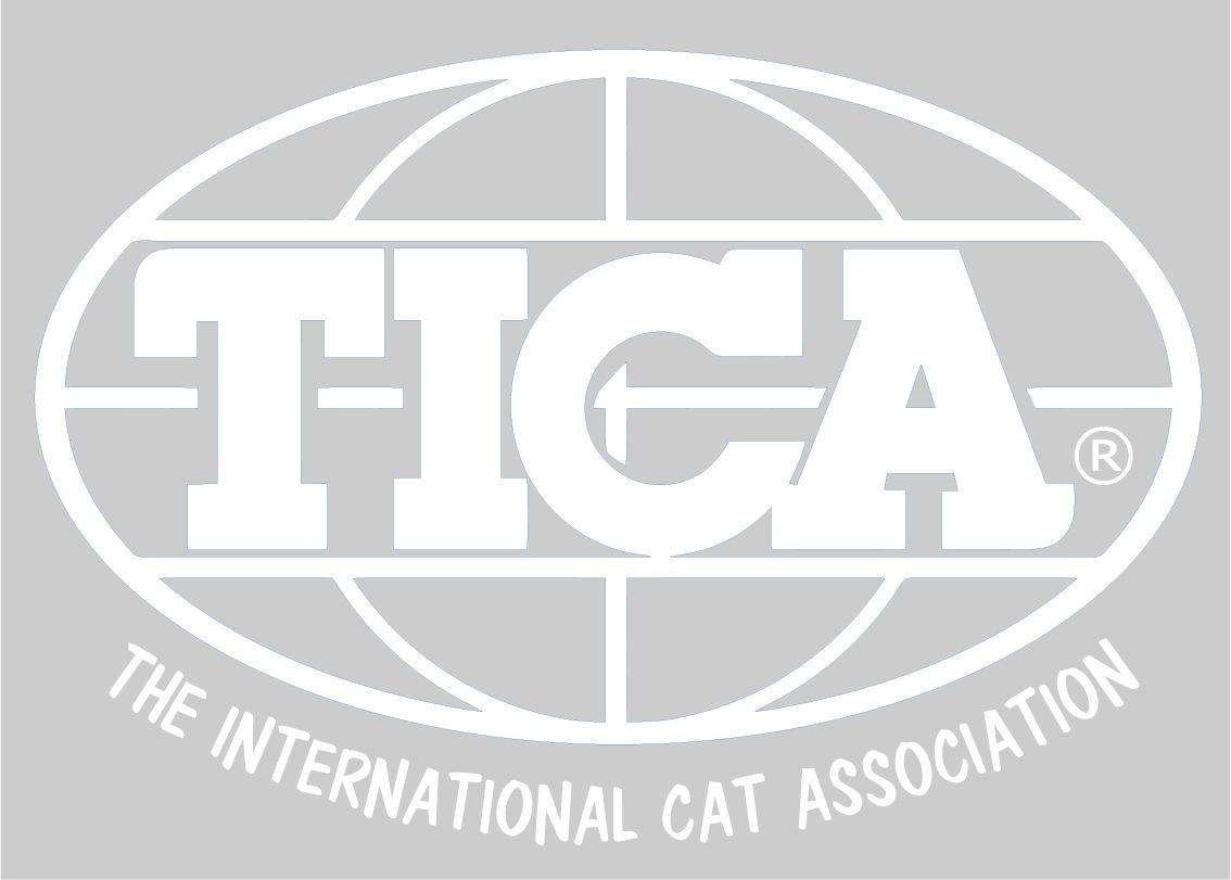 Gray and White Globe Logo - TICA Marketing