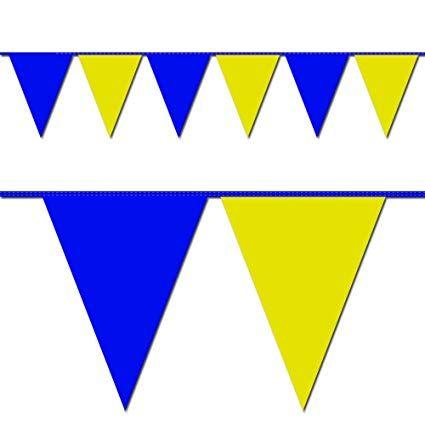 Blue and Yellow Triangle Logo - Ziggos Party Blue and Yellow Triangle Pennant Flag 100