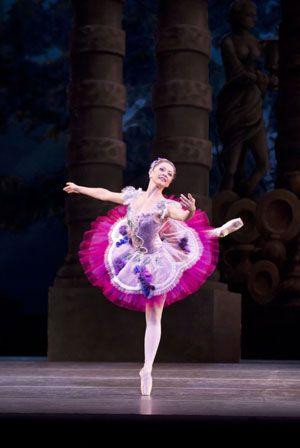 Lilac Fairy Logo - The Royal Ballet's Sleeping Beauty | The Arbuturian