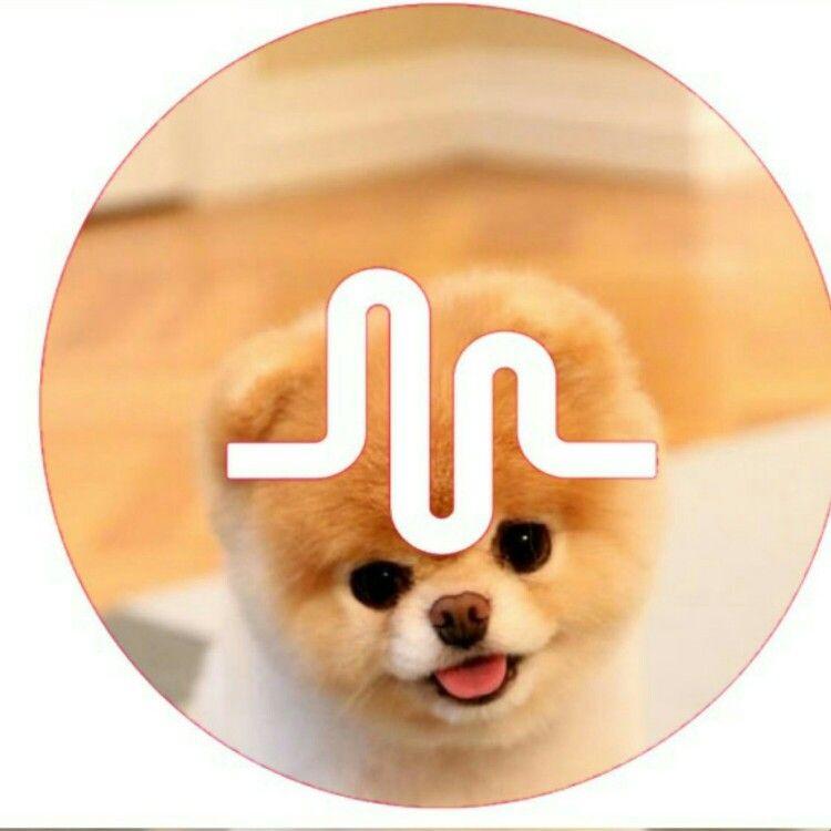 Cutest App Logo - Musical.ly Logos | Musical.ly | Pinterest | Musical ly, Logos and ...