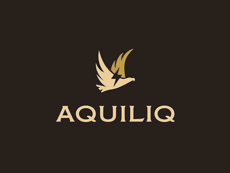 Famous Clothing Designer Logo - Aquiliq Apparel Brand Logo Design - SpellBrand®