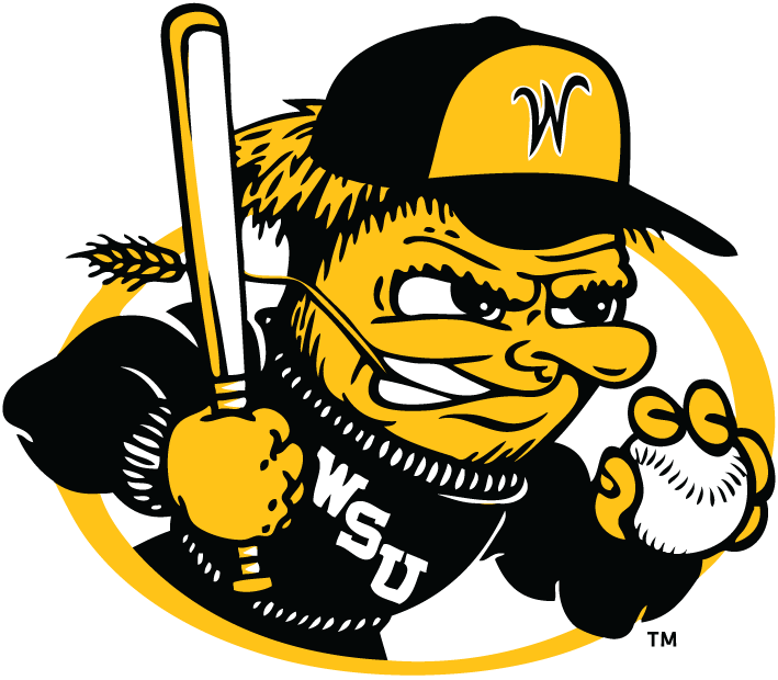 College Baseball Logo