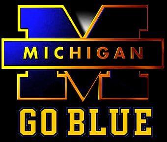 Go Blue Logo - Detroit Airport Shuttle Service To Toledo - Call Your Reservation!