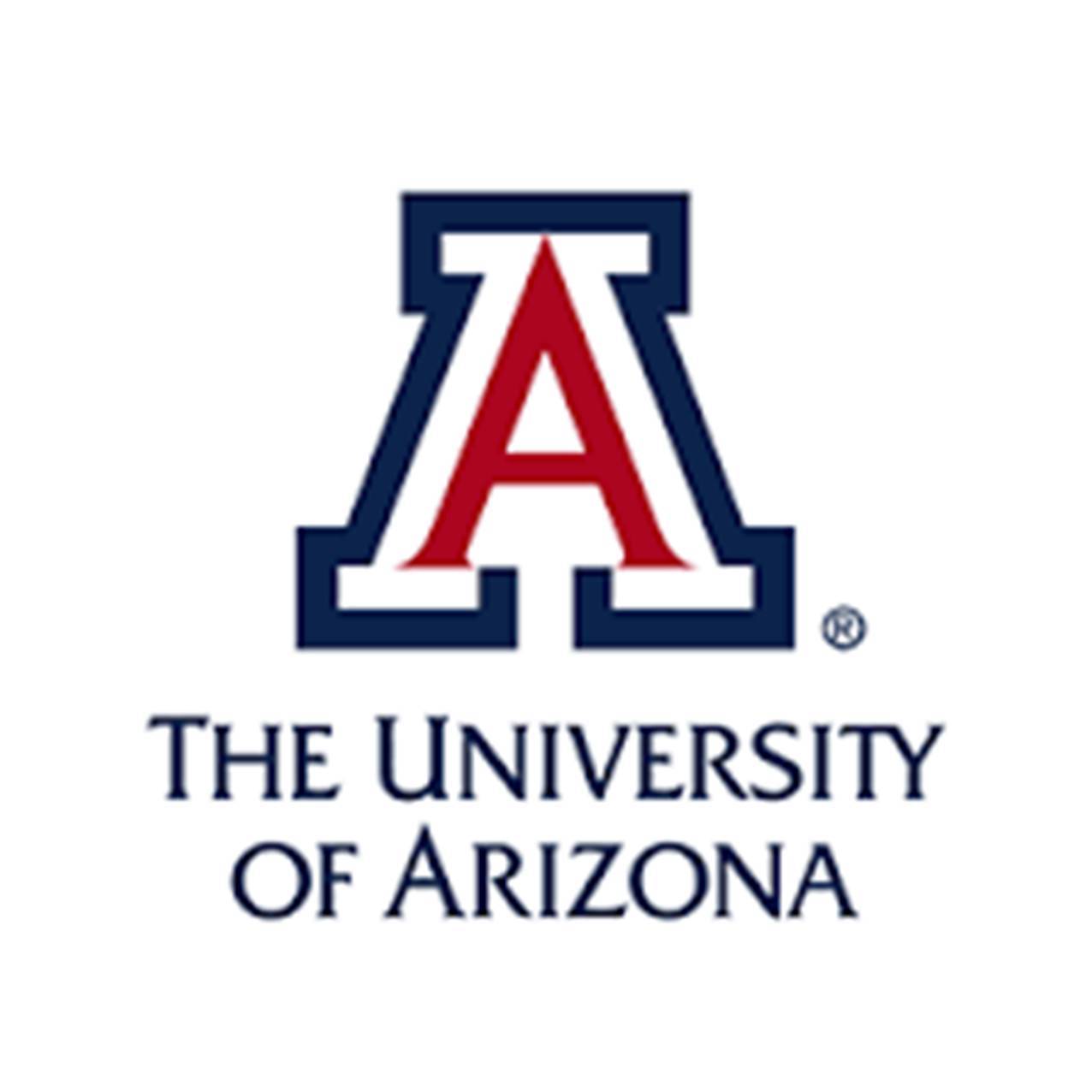 Univeristy of Arizona Logo - University Of Arizona Waist Band Sister Inc
