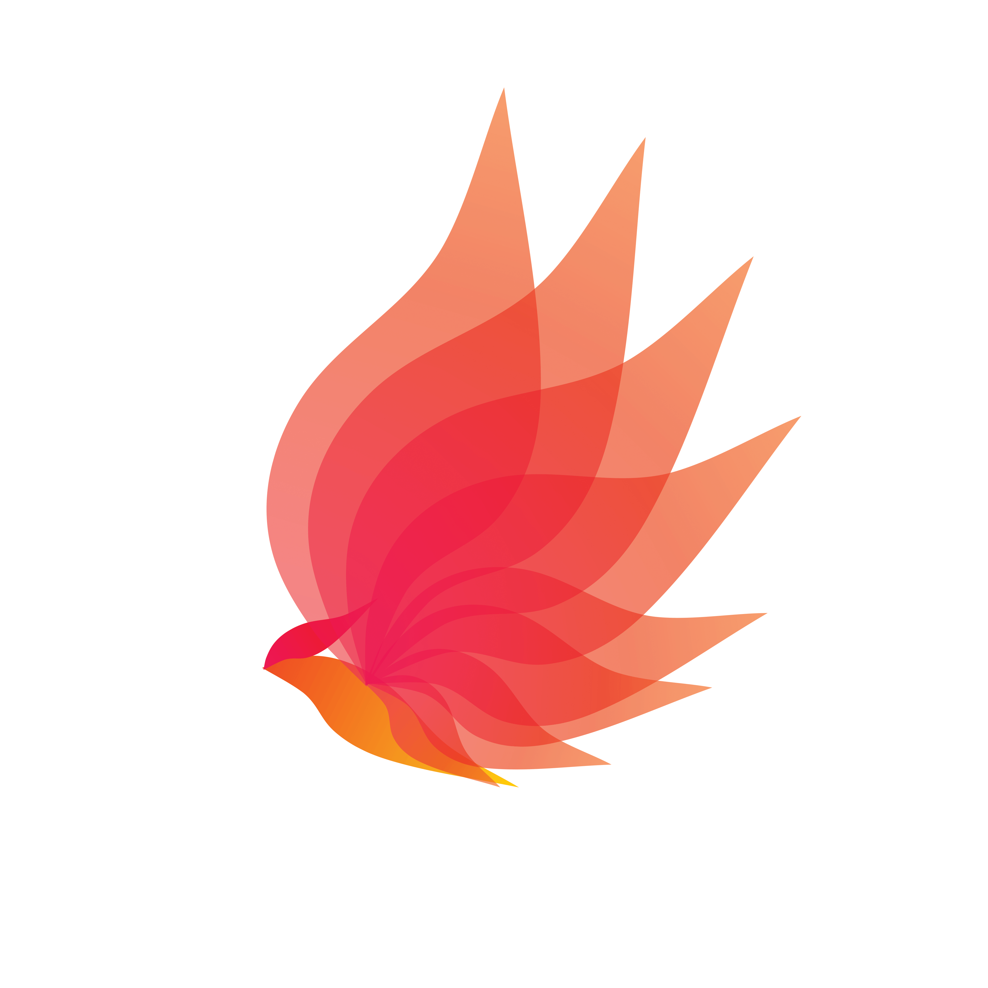 Phoenix Fire Logo - Eternal Flame Logo | Phoenix Fire Logo | My Portfolio | Logos, Logo ...