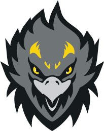 Fire Hawks Logo - BAV Firehawks logo and jersey on Behance