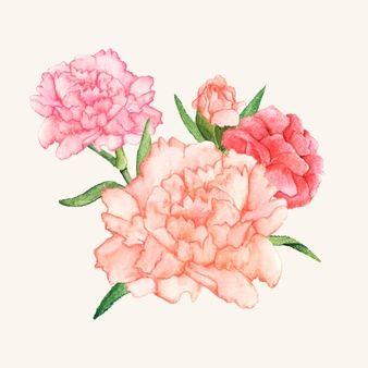 Carnation Flower Logo - Carnation Flower Vectors, Photos and PSD files | Free Download