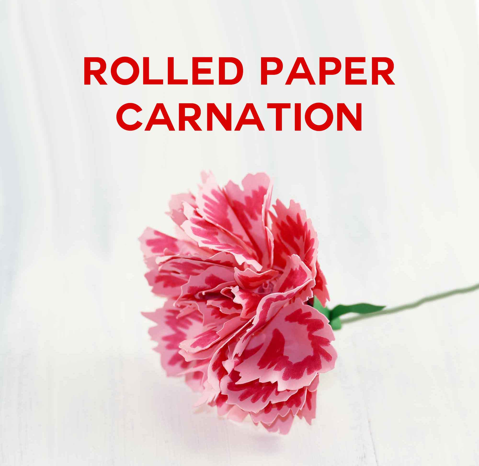 Carnation Flower Logo - Rolled Paper Carnation Tutorial - Free SVG Files - Jennifer Maker