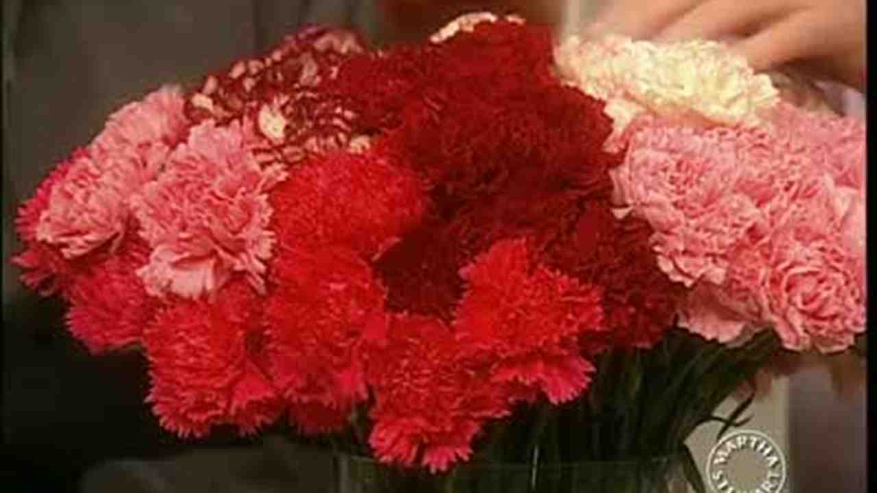 Carnation Flower Logo - Video: How to Make Carnation Flower Arrangements | Martha Stewart ...
