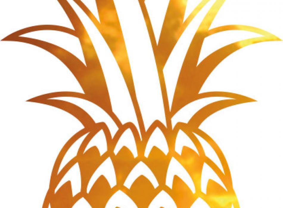 Hawaii Logo - Precious Hawaii
