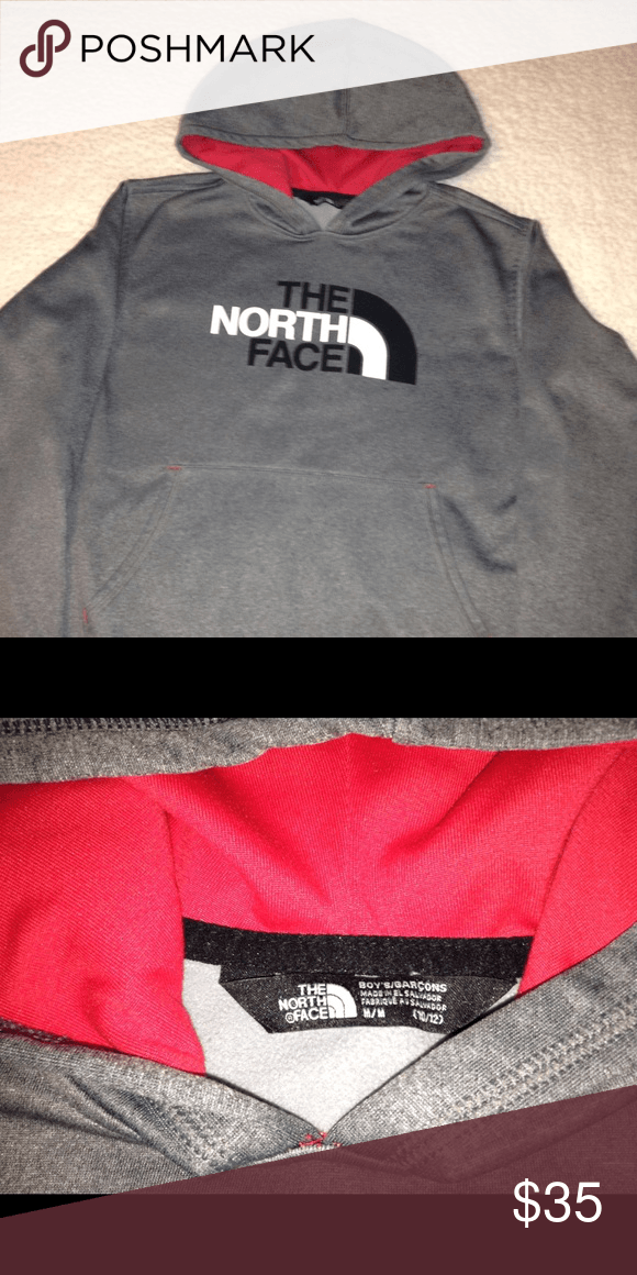 Grey with Red Lining Logo - The North Face Hoodie | My Posh Picks | Hoodies, North face hoodie ...