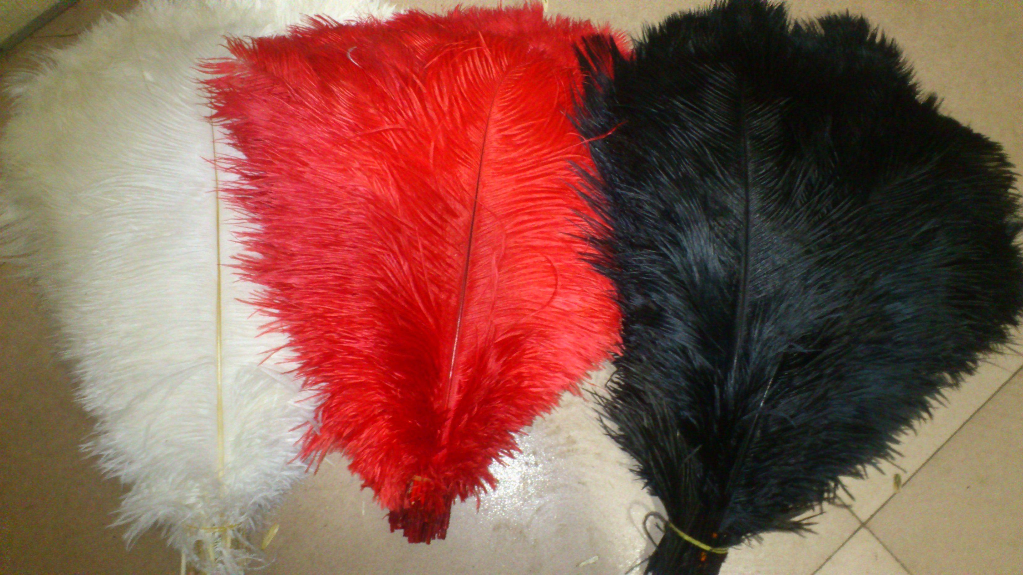 Red White Feather Logo - Red 50 White And 50 Black Ostrich Feather 12 14inch $108.00