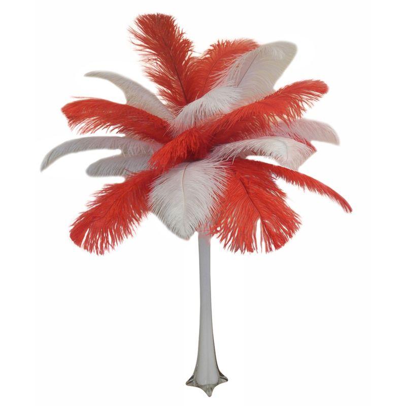 Red White Feather Logo - Red and White Ostrich Feather Centerpiece