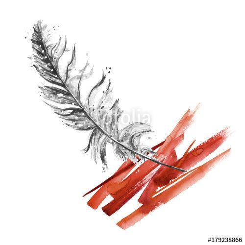 Red White Feather Logo - Bird feather by watercolor on isolated white background