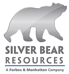 Silver Bear Logo - PORTFOLIO | Aterra Capital