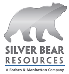 Silver Bear Logo - PORTFOLIO